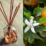 Parfum pour diffuseur Oranger en Fleurs