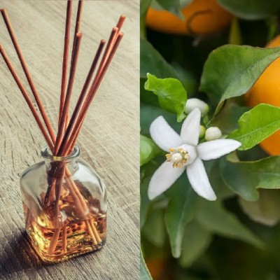 Parfum pour Diffuseur Oranger en Fleurs