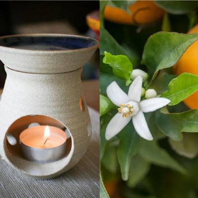 Fondants Parfumés Oranger en Fleurs