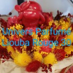 Bouquet de Fleurs de Cire ROUGE