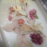 Suspension de Cire Parfumée